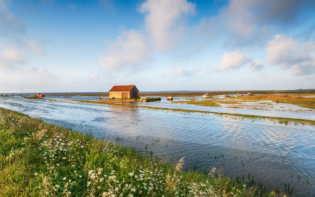 When it Rains, it Floods